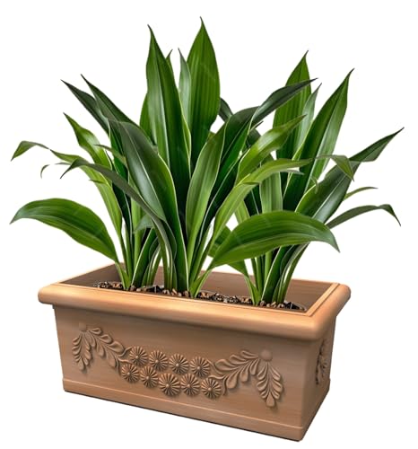 Kloris Blumenkasten rechteckig Festonato 80 Harz Farbe Antik Polyethylen klassisches Design für den Außenbereich 45 Liter 80 x 40 cm Höhe 34 cm Made in Italy von Kloris