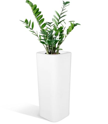 Kloris Blumentopf Cache-Pot quadratische Säule Candy 30 x 30 x 70 cm Höhe Polyethylen weiß Tiefe 24 cm von Kloris