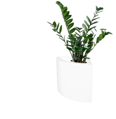 Kloris Eckvase LINK 45 weiß Polyethylen 45 x 45 cm Höhe 45 cm Made in Italy von Kloris