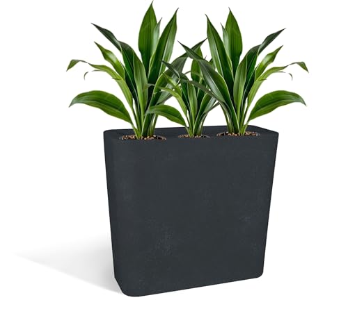 Kloris Hocher, rechteckiger moderner Blumentopf für Hecke und Zaun Modell Blog Farbe Graphit 70 x 30 cm Höhe 70 cm von Kloris