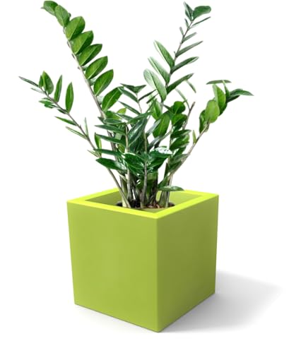 Kloris Moderner Würfelpflanzer, quadratisch, ELLENICO 45 Polyethylen, Farbe: Grün, Grün, 45 x 45 cm, Höhe und Tiefe 45 cm. Made in Italy von Kloris