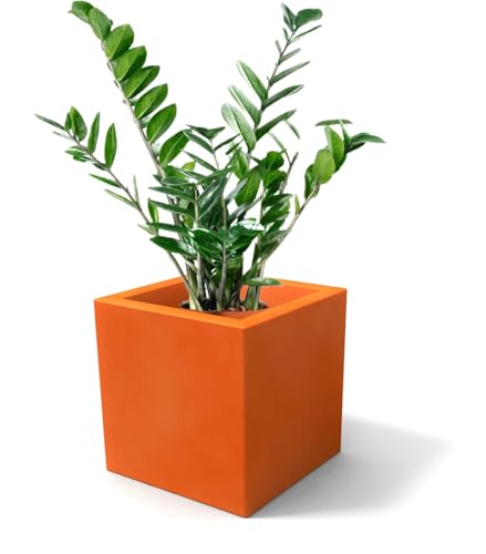 Kloris Moderner Würfelpflanzer, quadratisch, ELLENICO 45 Polyethylen, Farbe: Orange, Gesamtes Fassungsvermögen: 45 x 45 cm, Höhe und Tiefe: 45 cm. Made in Italy von Kloris