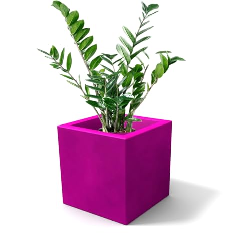 Kloris Moderner Würfelpflanzer, quadratisch, ELLENICO 45 Polyethylen, Farbe: Violett Fuchsia, Gesamtes Fassungsvermögen: 45 x 45 cm, Höhe und Tiefe: 45 cm. Made in Italy von Kloris