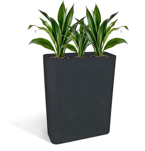 Kloris Rechteckiger Blumenkasten Modern Trennwand Modell Blog Farbe Graphit 30 x 70 cm Höhe 90 cm Made in Italy Kloris Rechteckiger Blumenkasten Modern Trennwand Modell Blog Farbe Graphit 30 x 70 cm Höhe 90 cm Made in Italy von Kloris