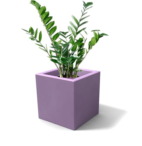 Kloris Vase Cubo Moderner quadratischer Pflanzkübel ELLENICO 45 Polyethylen Farbe Lila Glicine Gesamtes Fassungsvermögen 45 x 45 cm, Höhe und Tiefe 45 cm. Made in Italy von Kloris
