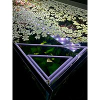 Schwimmender Dreieckiger Aquarienring | Pflanzen Und Futterring Für Aquarium Für Schwimmpflanzen & Futterplatz in Mehreren Größen von KlugeDesignStudio