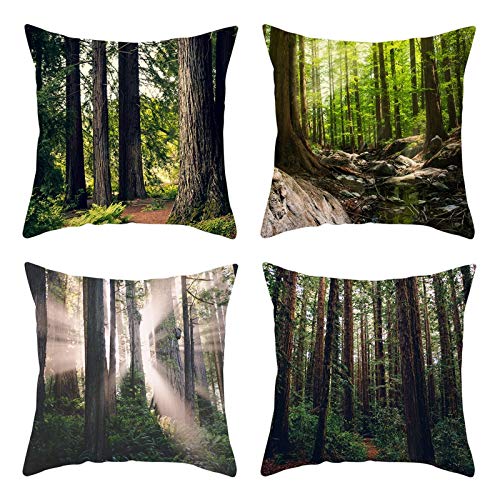 KnBoB 4er Pack Kissenhüllen 40 x 40, Polyester Wald Baum Kofferraum Kissenhülle Kissenbezug, Grün von KnBoB
