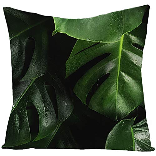 KnBoB KissenbezüGe 40x40, Leinen Monstera Sofa Kissenhüllen Kissenbezug, Grün von KnBoB