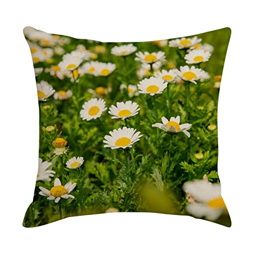 KnBoB Kissenhüllen 40x40, Kissenbezug Gänseblümchen Muster Kissenüberzug Sofa in Leinen (Weiß Gelb Grün, 1 Pcs) von KnBoB