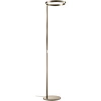 Knapstein Lana LED Stehleuchte Effekt Bronze Knapstein Lana LED Stehleuchte Effekt Bronze von Knapstein