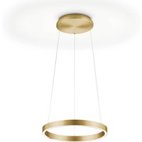 Knapstein Svea-L40 LED Pendelleuchte Gold matt lackiert von Knapstein