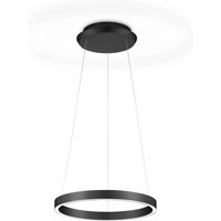 Knapstein Svea-L40 LED Pendelleuchte schwarz von Knapstein