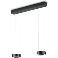 Knapstein Zera-2 LED Pendelleuchte Prismenabdeckung / schwarz von Knapstein