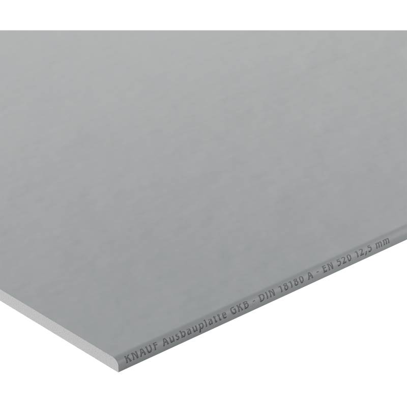 Knauf Ausbauplatte 60 x 1,25 x 260 cm von Knauf