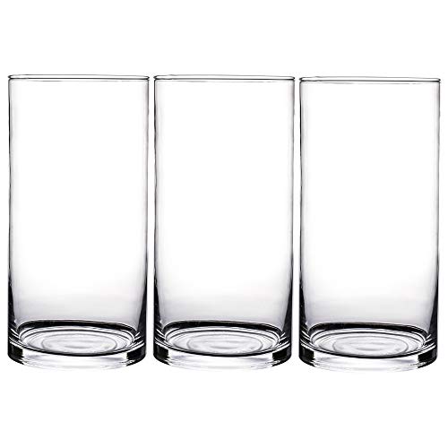 KnikGlass Glasvase, Blumenvase Glas, Vase Glas Deko Blumenvase, Transparent Vase (3 Stück A, Höhe 25cm Durchmesser 12cm) von KnikGlass