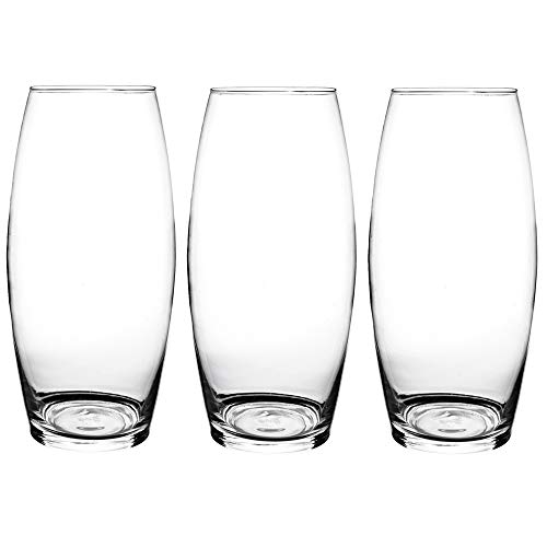 KnikGlass Glasvase, Blumenvase Glas, Vase Glas Deko Blumenvase, Transparent Vase (3 Stück B, Höhe 25cm Durchmesser 12cm) von KnikGlass