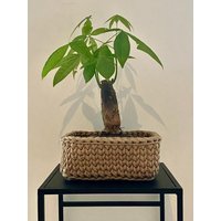 Dekorative Bonsaischale Gehäkelt Aus Braided Cord | 100% Baumwolle Inkl. Pflanzschale Kunststoff Dekorative Bonsaischale Gehäkelt Aus Braided Cord | 100% Baumwolle Inkl. Pflanzschale Kunststoff von Knittifique