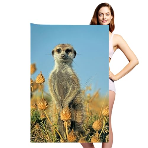 KnorRs Erdmännchen Strandtuch Für Strandschwimmen Und Bad, Schnelltrocknende Badetuch, Mikrofaser Strandtücher in XXL Größe 100x200cm (Y3,70x140cm), ST003 von KnorRs