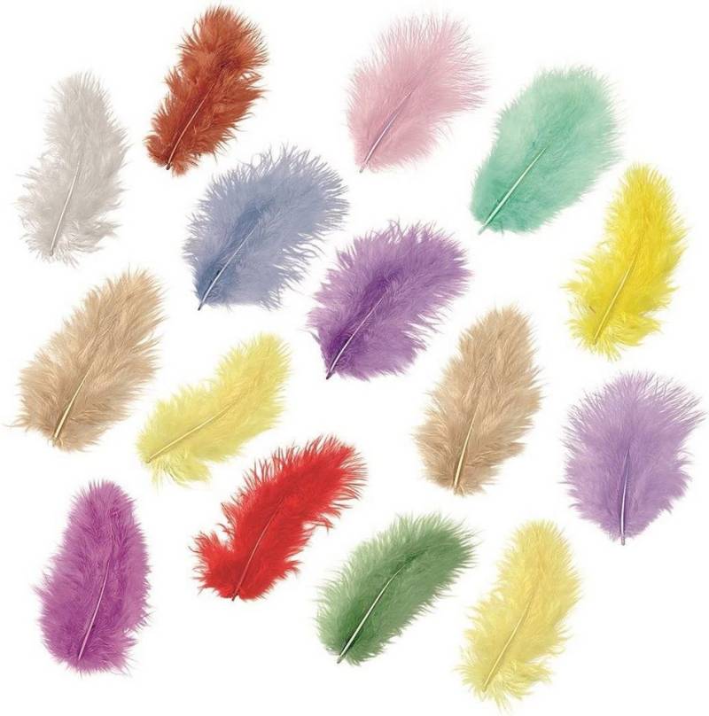 Knorr Prandell Bastelnaturmaterial 10XKNORR prandell 216619991 Mar.federn5cm sort von Knorr Prandell