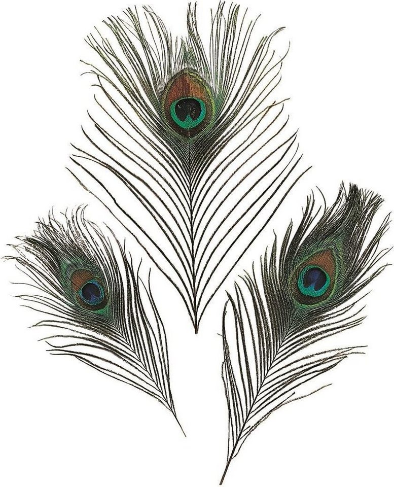 Knorr Prandell Bastelnaturmaterial 10XKNORR prandell 216626025 Pfauenfedern 20cm von Knorr Prandell