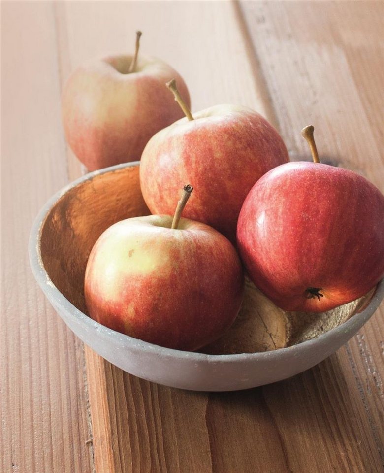 Knorr Prandell Bastelnaturmaterial 3XKNORR prandell 212411074 Blattmetall 14x14go von Knorr Prandell