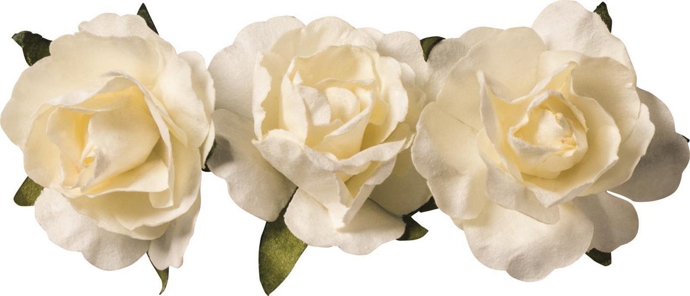 Knorr Prandell Hängedekoration 6XKNORR prandell 217611006 Papierblume cr Knorr Prandell Hängedekoration 6XKNORR prandell 217611006 Papierblume cr von Knorr Prandell