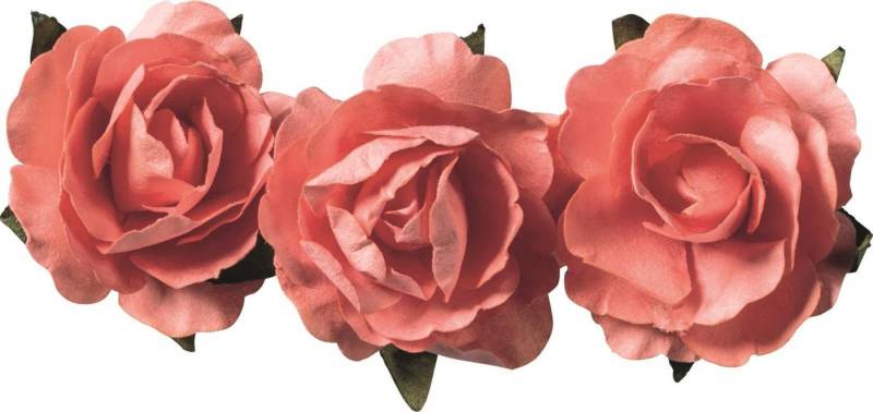 Knorr Prandell Bastelnaturmaterial 6XKNORR prandell 217611008 Papierblume lachs Knorr Prandell Bastelnaturmaterial 6XKNORR prandell 217611008 Papierblume lachs von Knorr Prandell