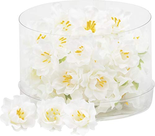 KnorrPrandell 6529790 Blüten, 2.5 cm, weiß von KnorrPrandell