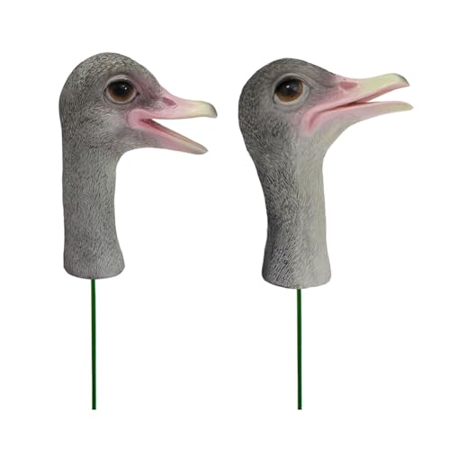 Knoruley 2 Gartenstecker Aus Kunstharz in Form Eines Straußenkopfes Zur Verschönerung Ihres Gartens von Knoruley