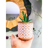 3, 5 Zoll Terrakotta Übertopf - Keramiktopf Weiß Und Creme Aztek Dekoratives Unikat Premium Material Modern Design Hingucker von KnottyPlantsStudio