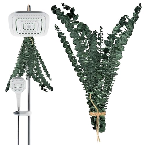 Eukalyptus Pflanze für die Dusche - 10 Stück Natürliche Getrocknete Eukalyptus Pflanze Wohndekoration - Bündel Deko für Bad Wohnzimmer Zuhause Spa Eukalyptus Pflanze für die Dusche - 10 Stück Natürliche Getrocknete Eukalyptus Pflanze Wohndekoration - Bündel Deko für Bad Wohnzimmer Zuhause Spa von Knowlife