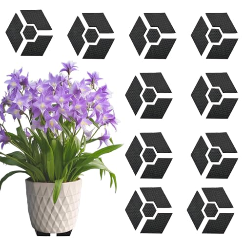 Knowlife Blumentopf Füße | 10 Sets Füße Für Blumentöpfe Outdoor | Sechseckige Anti-Rutsch Pflanzensockel Für Balkon Terrasse Innen Außen Wohnung Knowlife Blumentopf Füße | 10 Sets Füße Für Blumentöpfe Outdoor | Sechseckige Anti-Rutsch Pflanzensockel Für Balkon Terrasse Innen Außen Wohnung von Knowlife