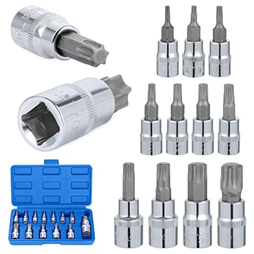 Knpwer 13 Teiliges Torx Nüsse Steckschlüssel Satz,T8–T70 Torx Steckschlüssel Satz, Stahl Torx Bits Nüsse Steckschlüssel Werkzeug,1/4 Zoll, 3/8 Zoll und 1/2 Zoll Antrieb von Knpwer