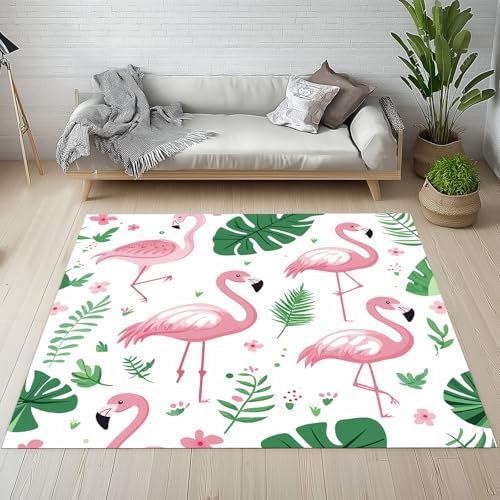 Kntnshac Cartoon Flamingo Teppich 160x230, Tropische Vogel Süße Waldtiere Teppiche Flur Weich rutschfest Waschbare fur Wohnzimmer Schlafzimmer Badezimmer Kinderzimmer Küche Balkon Esszimmer Kntnshac Cartoon Flamingo Teppich 160x230, Tropische Vogel Süße Waldtiere Teppiche Flur Weich rutschfest Waschbare fur Wohnzimmer Schlafzimmer Badezimmer Kinderzimmer Küche Balkon Esszimmer von Kntnshac