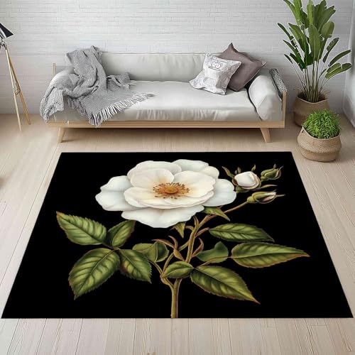 Kntnshac Rose Blumen Schmutzfangmatte rutschfest Waschbare, Natur Pflanzen Blumenmuster Elegant Blüten Eingangsteppich Kleiner Teppich fur Wohnzimmer Schlafzimmer Küche Kinderzimmer 50x80 cm Kntnshac Rose Blumen Schmutzfangmatte rutschfest Waschbare, Natur Pflanzen Blumenmuster Elegant Blüten Eingangsteppich Kleiner Teppich fur Wohnzimmer Schlafzimmer Küche Kinderzimmer 50x80 cm von Kntnshac