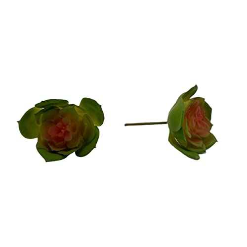 Knüllermarkt 33553 | Deko Sukkulente grün rot ca. 9,5 cm | Dekoration Pflanzen Pflanze | Gestecke Dekoring | Frühling von Knüllermarkt