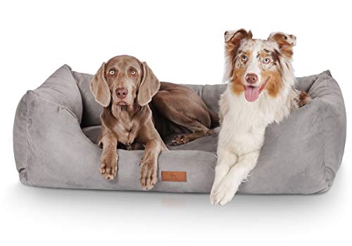 Knuffelwuff Hundebett Dreamline aus Velours XL 105 x 75cm Grau - abnehmbarer Bezug - leicht zu reinigen - für große, mittelgroße und kleine Hunde von Knuffelwuff