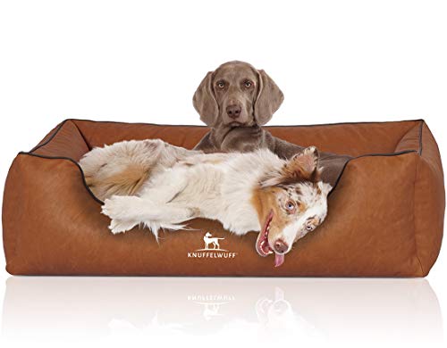 Knuffelwuff Hundebett Henderson aus marmoriertem Kunstleder XL 105 x 75cm Rusty - Abnehmbarer Bezug - leicht zu reinigen - für große, mittelgroße und kleine Hunde Knuffelwuff Hundebett Henderson aus marmoriertem Kunstleder XL 105 x 75cm Rusty - Abnehmbarer Bezug - leicht zu reinigen - für große, mittelgroße und kleine Hunde von Knuffelwuff