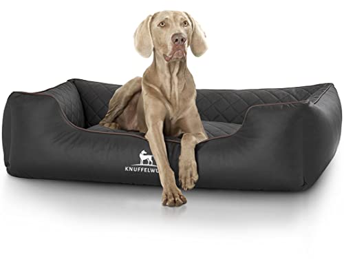 Knuffelwuff Orthopädisches Hundebett Madison aus laser-gestepptem Kunstleder XXL 120 x 85cm Schwarz - abnehmbarer Bezug - leicht zu reinigen - für große, mittelgroße und kleine Hunde Knuffelwuff Orthopädisches Hundebett Madison aus laser-gestepptem Kunstleder XXL 120 x 85cm Schwarz - abnehmbarer Bezug - leicht zu reinigen - für große, mittelgroße und kleine Hunde von Knuffelwuff