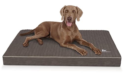Knuffelwuff orthopädische Hundematte Palomino aus Laser-gestepptem Kunstleder XXL 115 x 80cm Braungrau - rutschfeste Unterboden - leicht zu reinigen - für große, mittelgroße und kleine Hunde Knuffelwuff orthopädische Hundematte Palomino aus Laser-gestepptem Kunstleder XXL 115 x 80cm Braungrau - rutschfeste Unterboden - leicht zu reinigen - für große, mittelgroße und kleine Hunde von Knuffelwuff
