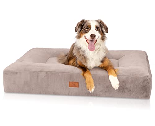 Knuffelwuff orthopädisches Hundebett Midland XL 100 x 80cm Grau - Hundekissen für große, mittelgroße und kleine Hunde - Waschbar Knuffelwuff orthopädisches Hundebett Midland XL 100 x 80cm Grau - Hundekissen für große, mittelgroße und kleine Hunde - Waschbar von Knuffelwuff