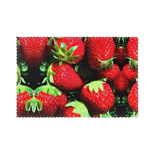 Platzsets mit Erdbeermuster, hitzebeständig, waschbar, 30,5 x 45,7 cm, 6 Stück von KoNsev