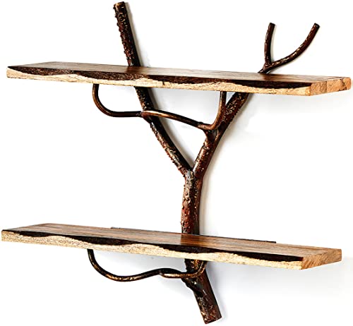 Kobolo Wandregal Hängeregal Bücherregal -AST Zweig- 2 Böden - 46x15x42 cm - Eisen Holz Kobolo Wandregal Hängeregal Bücherregal -AST Zweig- 2 Böden - 46x15x42 cm - Eisen Holz von Kobolo