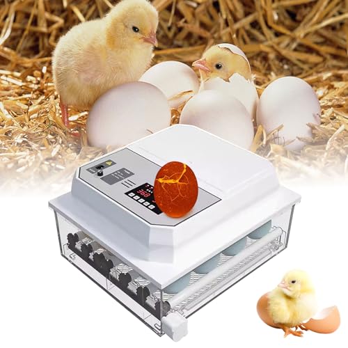 Kocusu 12–18 Eierbrutkästen zum Bruteiern, verstellbarer Inkubator für Eier, automatisches Drehen mit Eierkerze und LED-Display für Huhn, Wachtel, Ente, Vogel Kocusu 12–18 Eierbrutkästen zum Bruteiern, verstellbarer Inkubator für Eier, automatisches Drehen mit Eierkerze und LED-Display für Huhn, Wachtel, Ente, Vogel von Kocusu