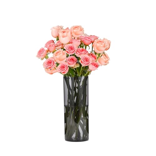 Koelaa Langlebige Unzerbrechliche Vase, Blumenvase aus Acryl-Kunststoff – Leichte Transparent-Graue Zylindervase für Hochzeitstischdeko, Einweihungsparty oder Home Decor-10x25 cm Koelaa Langlebige Unzerbrechliche Vase, Blumenvase aus Acryl-Kunststoff – Leichte Transparent-Graue Zylindervase für Hochzeitstischdeko, Einweihungsparty oder Home Decor-10x25 cm von Koelaa