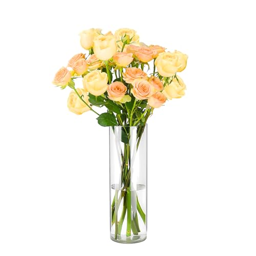 Koelaa Leichte Unzerbrechliche Vase, Blumenvase aus Acryl-Kunststoff – Stylische Transparent-Klare Zylindervase für Hochzeitstischdekor, Einweihungsparty oder Tischdekoration-12x40 cm von Koelaa
