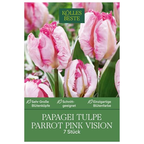 Papageien-Tulpen 'Parrot Pink Vision', rosa, 10 Blumenzwiebeln von Kölle's Beste!