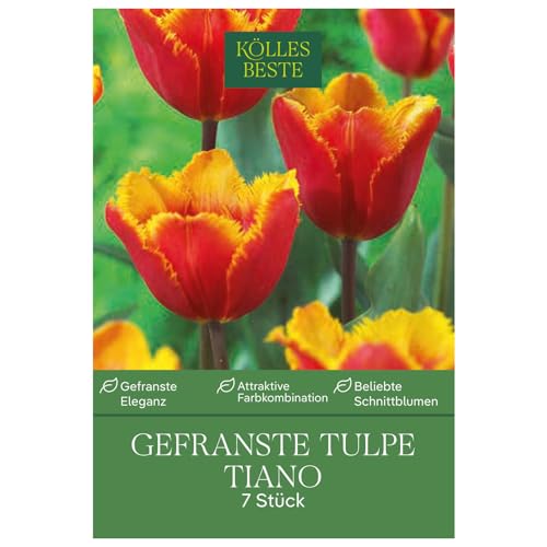 gefranste Tulpen 'Tiano', rot, gelb, Größe 11/12, 10 Blumenzwiebeln gefranste Tulpen 'Tiano', rot, gelb, Größe 11/12, 10 Blumenzwiebeln von Kölle's Beste!