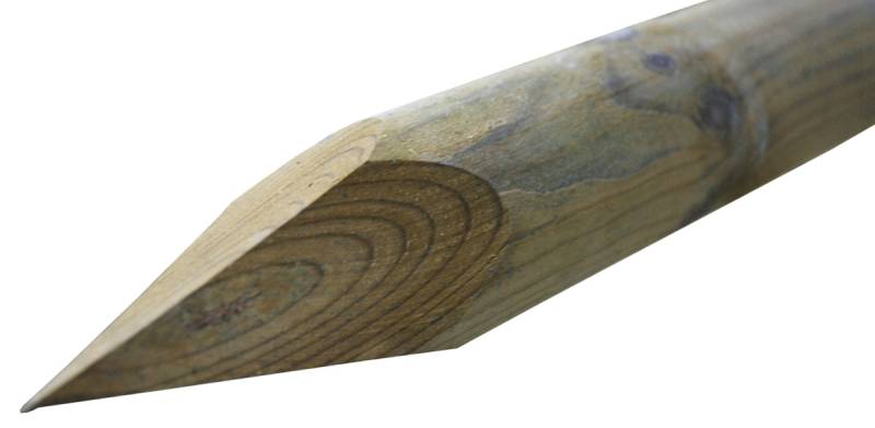 Baumpfahl gespitzt grün 6x200cm von Kömpf Baumarkt