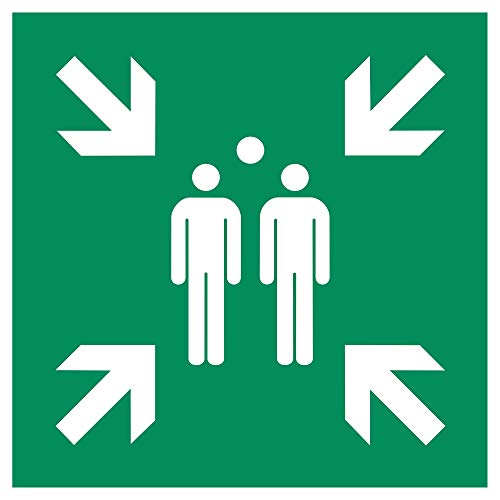 Schild Sammelstelle | PVC 40 x 40 cm | gemäß DIN EN ISO 7010 E007 ASR A1.3 | Fluchtweg Sammelpunkt Sammelplatz von KÖNIG